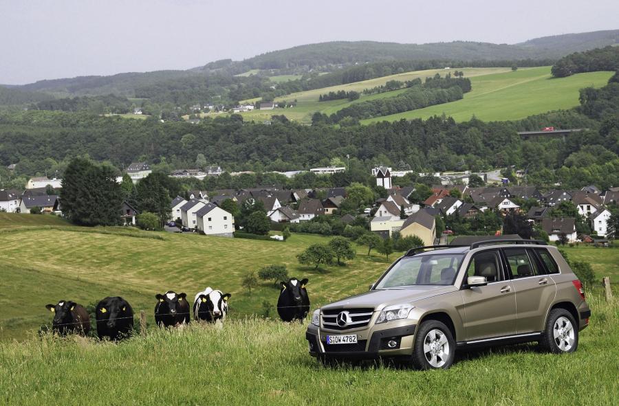  Mercedes-Benz GLK-Class 2010 года  (фото 94 из 224)
